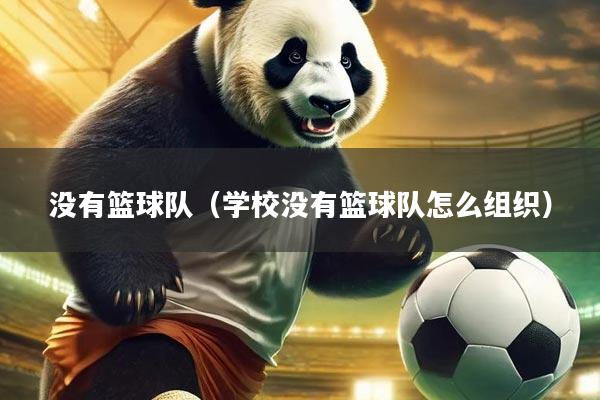 没有篮球队（学校没有篮球队怎么组织）