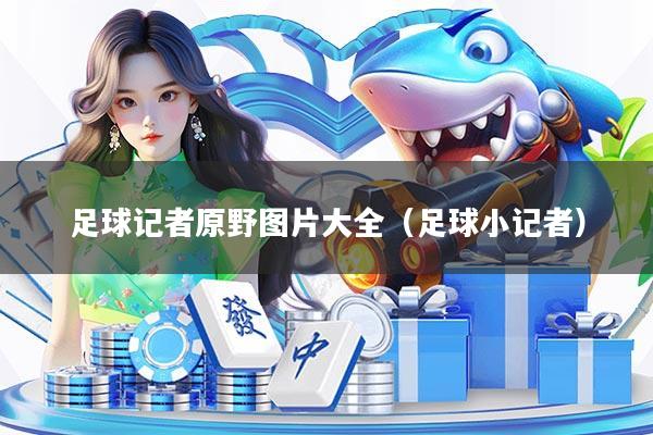 足球记者原野图片大全（足球小记者）