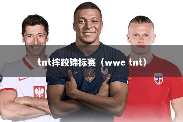 tnt摔跤锦标赛（wwe tnt）