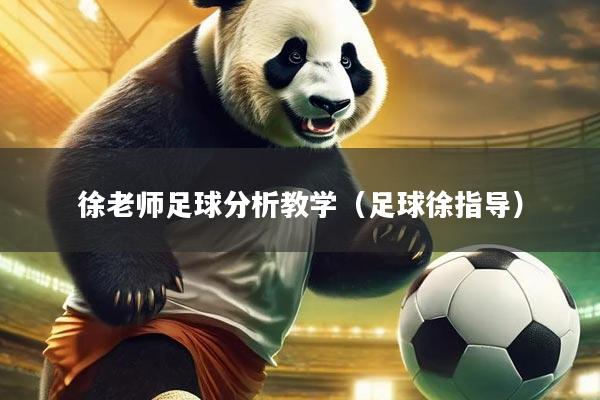 徐老师足球分析教学（足球徐指导）