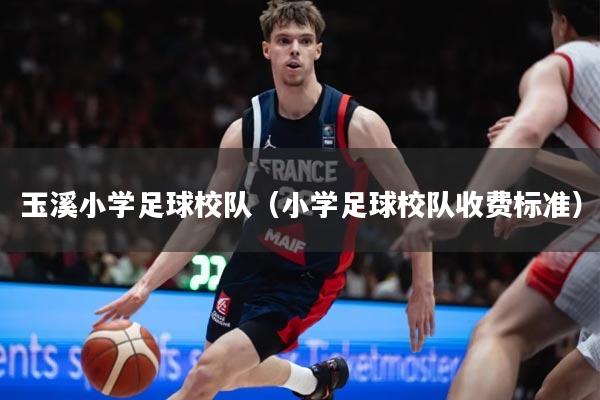 玉溪小学足球校队（小学足球校队收费标准）